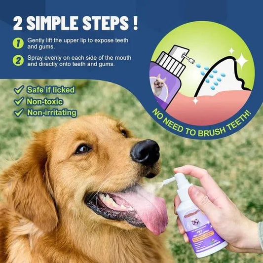 🔥LAST DAY PROMOTION – 55% OFF🔥Teeth Cleaning Spray for Dogs & Cats（50ML）